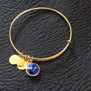 Birthstone alex and ani bangle
